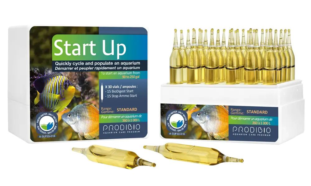 Prodibio Start Up