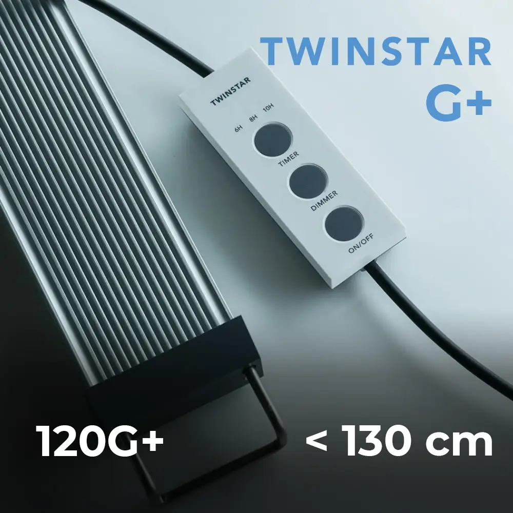 Twinstar Light 120 G+