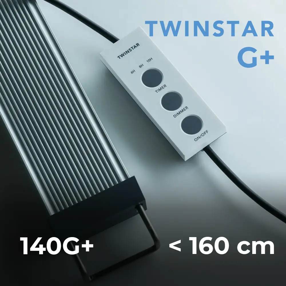 Twinstar Light 140 G+