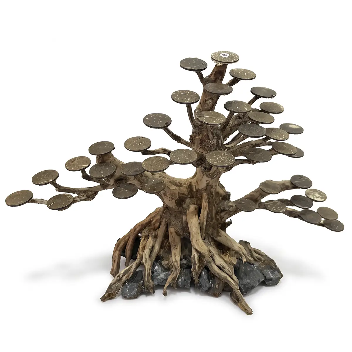 Bonsai Kyoto XL copa central nascapers.es