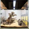 Acuario con hardscape árbol Bonsai