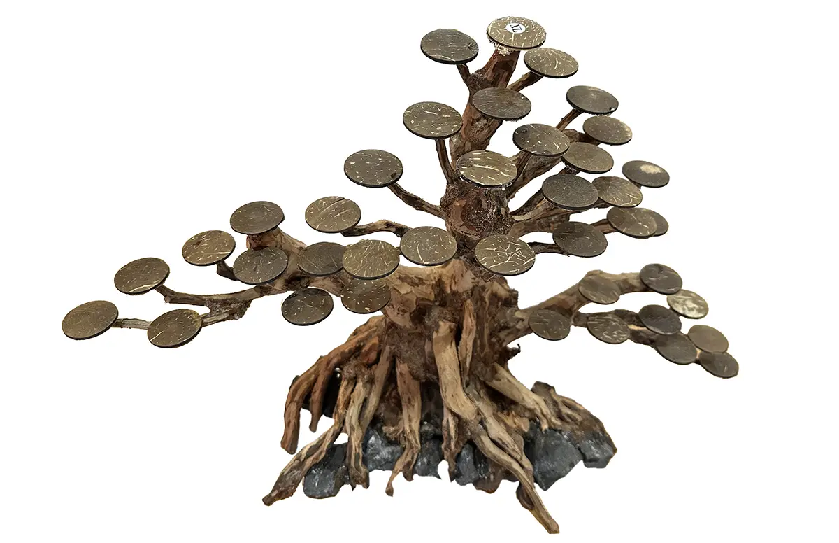 Rasamala Tamaño XL de 50 cm Copa Central