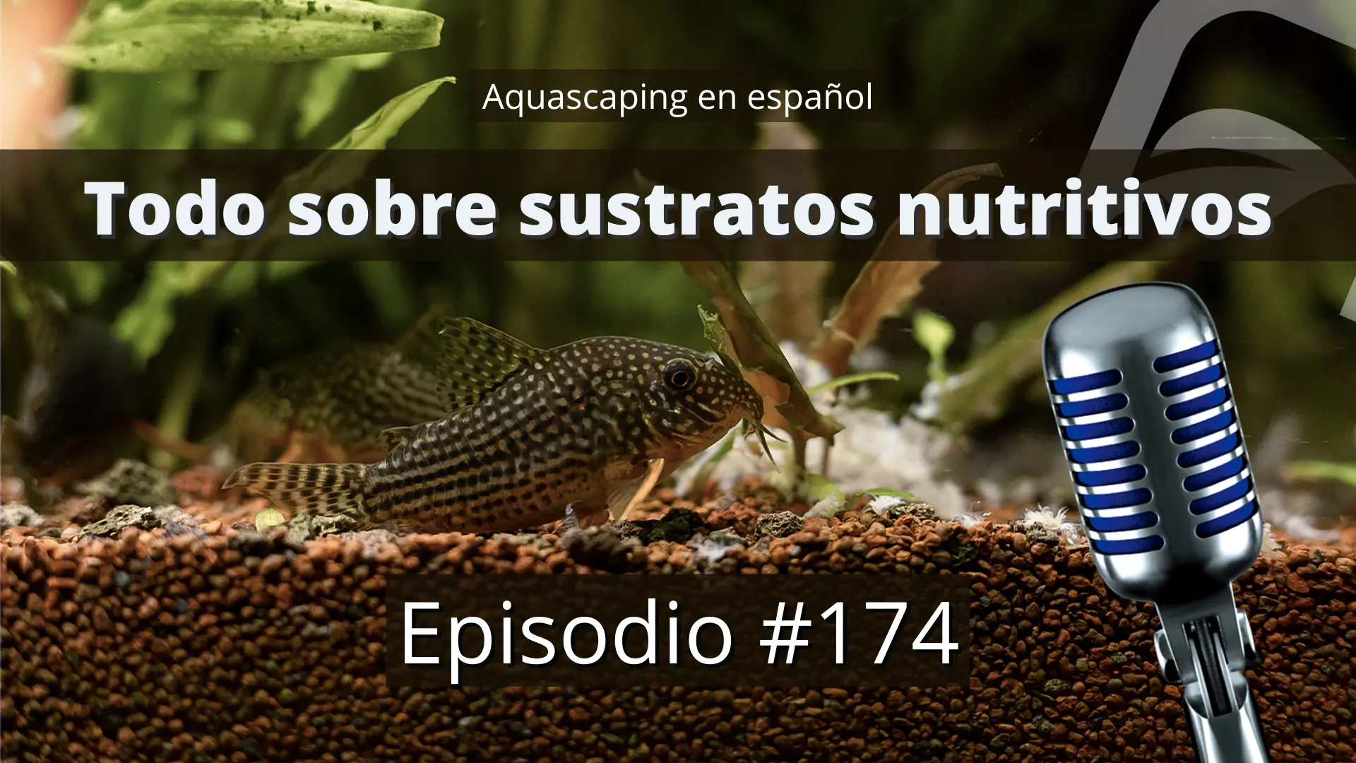 Todo sobre sustratos nutritivos para el acuario plantado