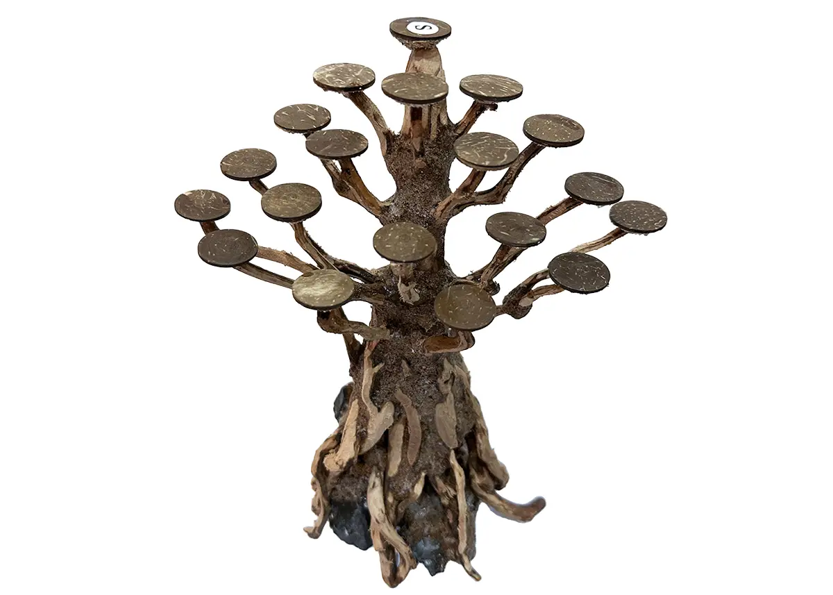 Rasamala Tamaño S de 30 cm Copa Central