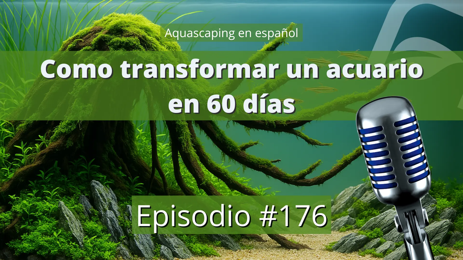 Aquascaping en Español ep 176