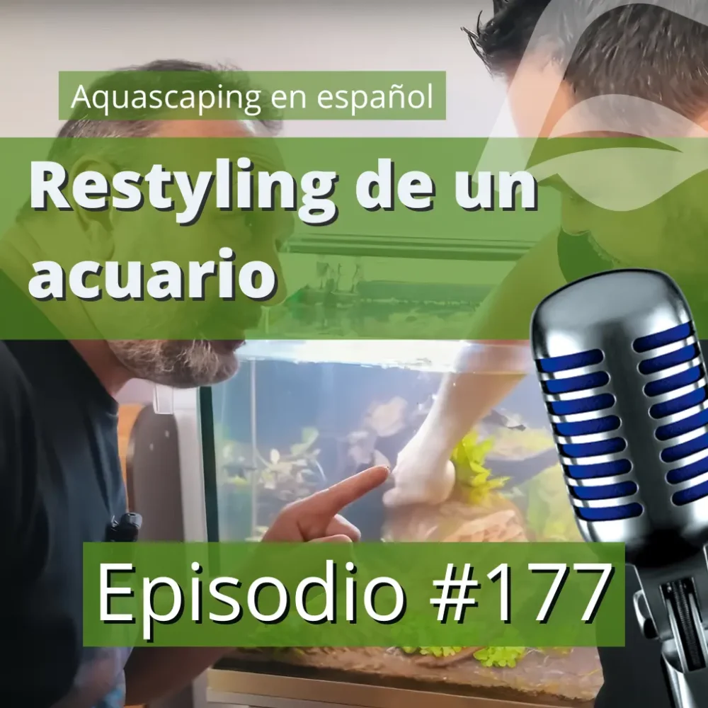 Restyling de un acuario plantado