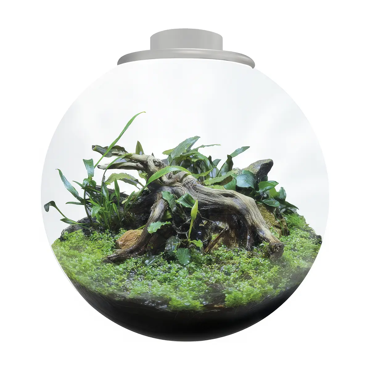 BioArt Bola 225 White