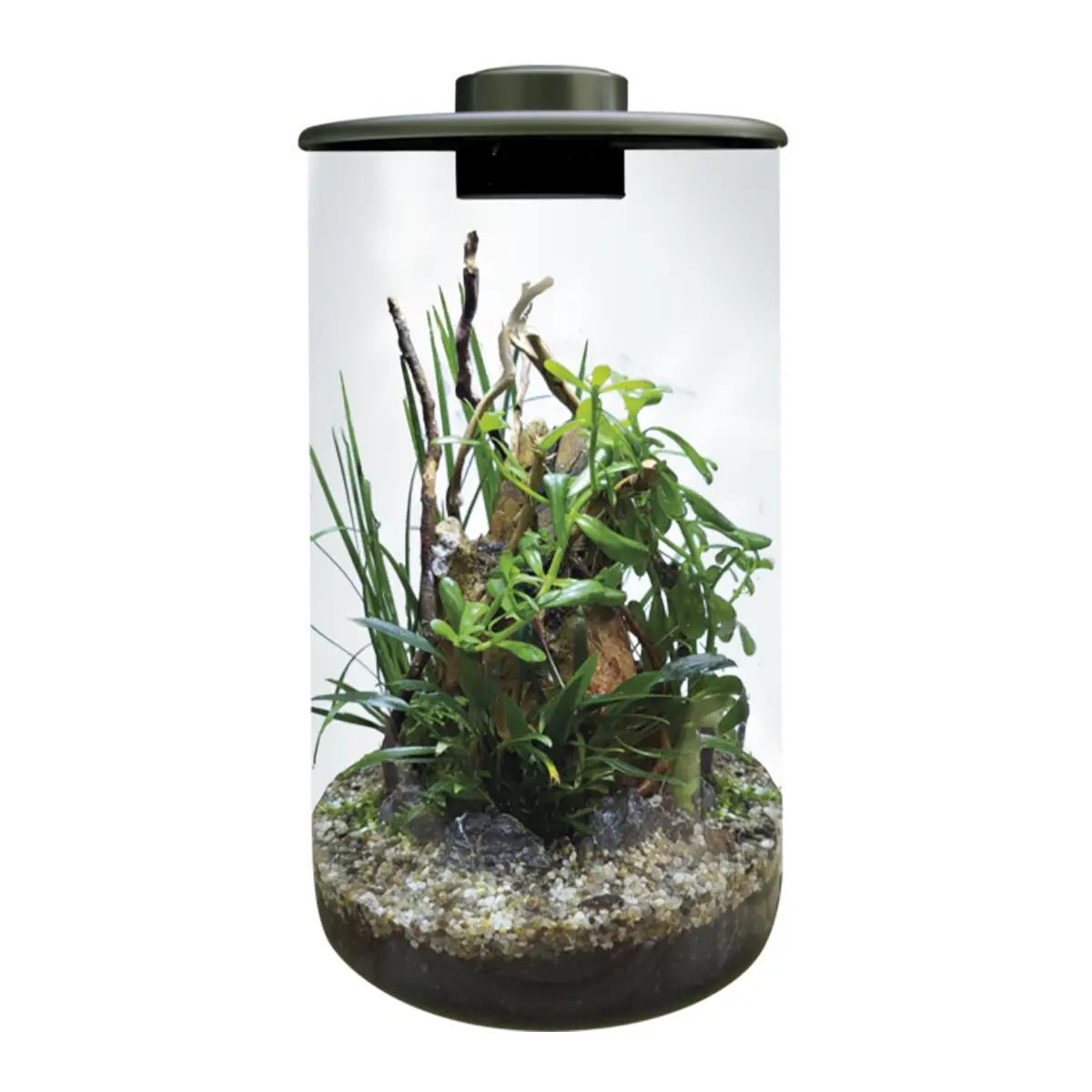 BioArt Cylinder 285 Black