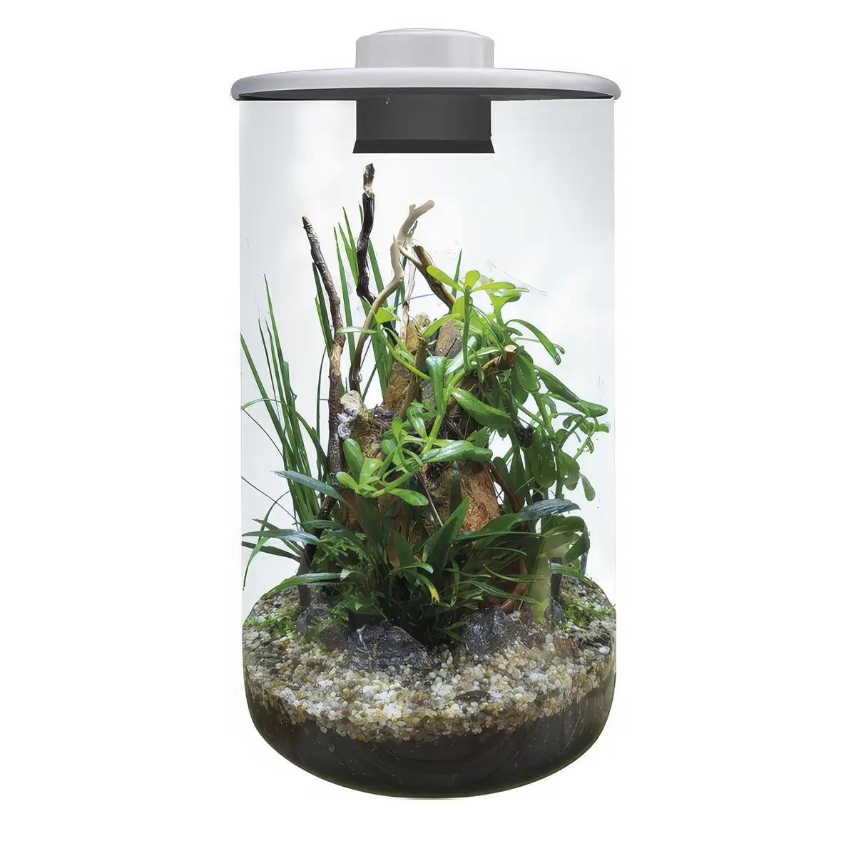 BioArt Cylinder 285 White