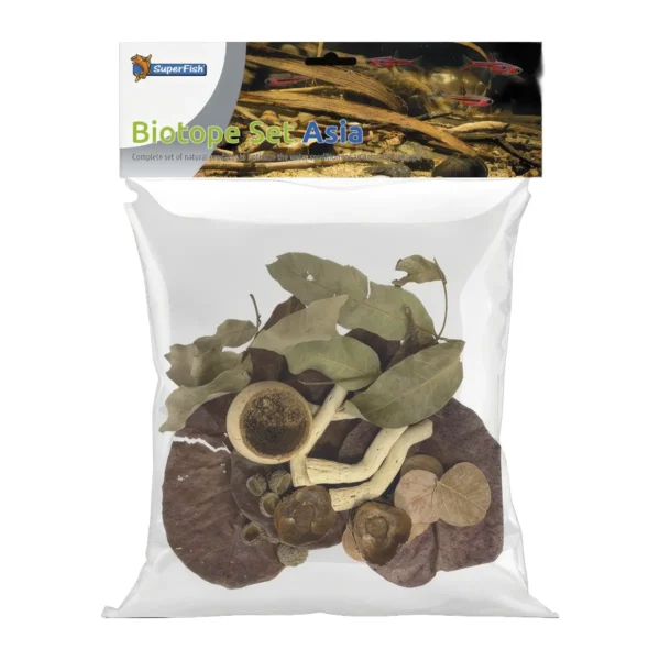 Biotope Set Asia