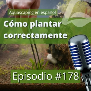 aquascaping en español