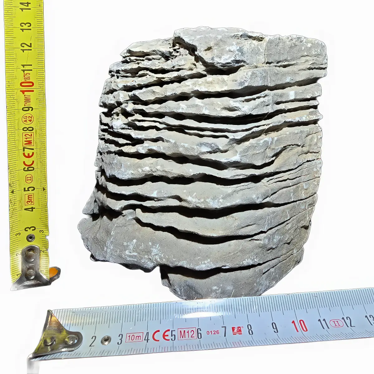 Roca Seleccionada nascapers.es