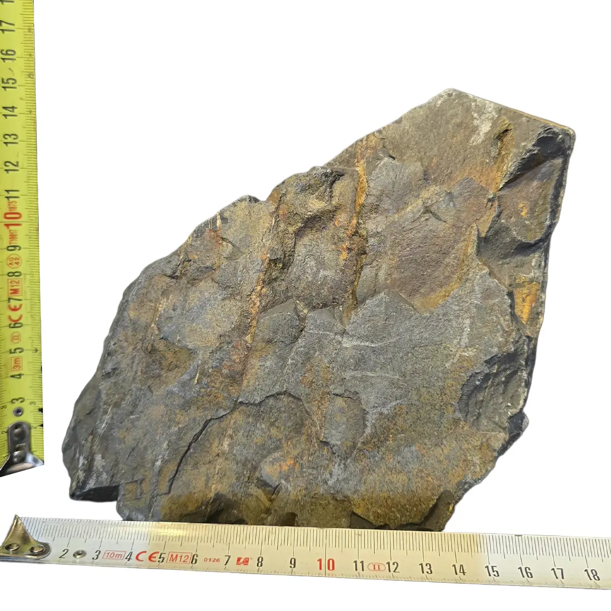 Roca Seleccionada nascapers.es