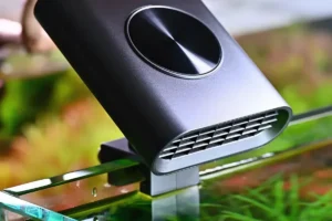 Enfriar el agua del acuario plantado en verano nascapers.es