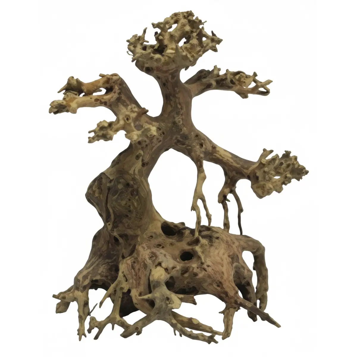 Bonsái DriftTree XS nascapers.es