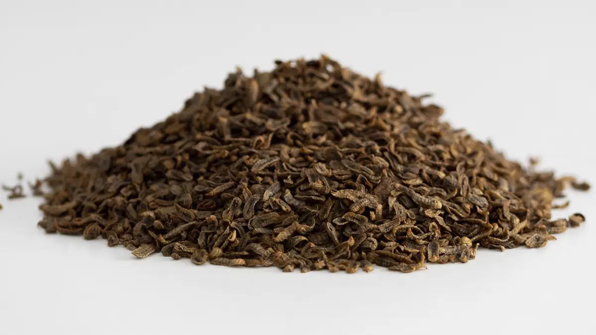 Larva de Hermetia Illucems 150 g nascapers.es