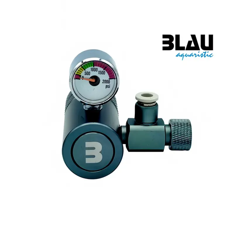 Blau CO2 Basic regulator nascapers.es