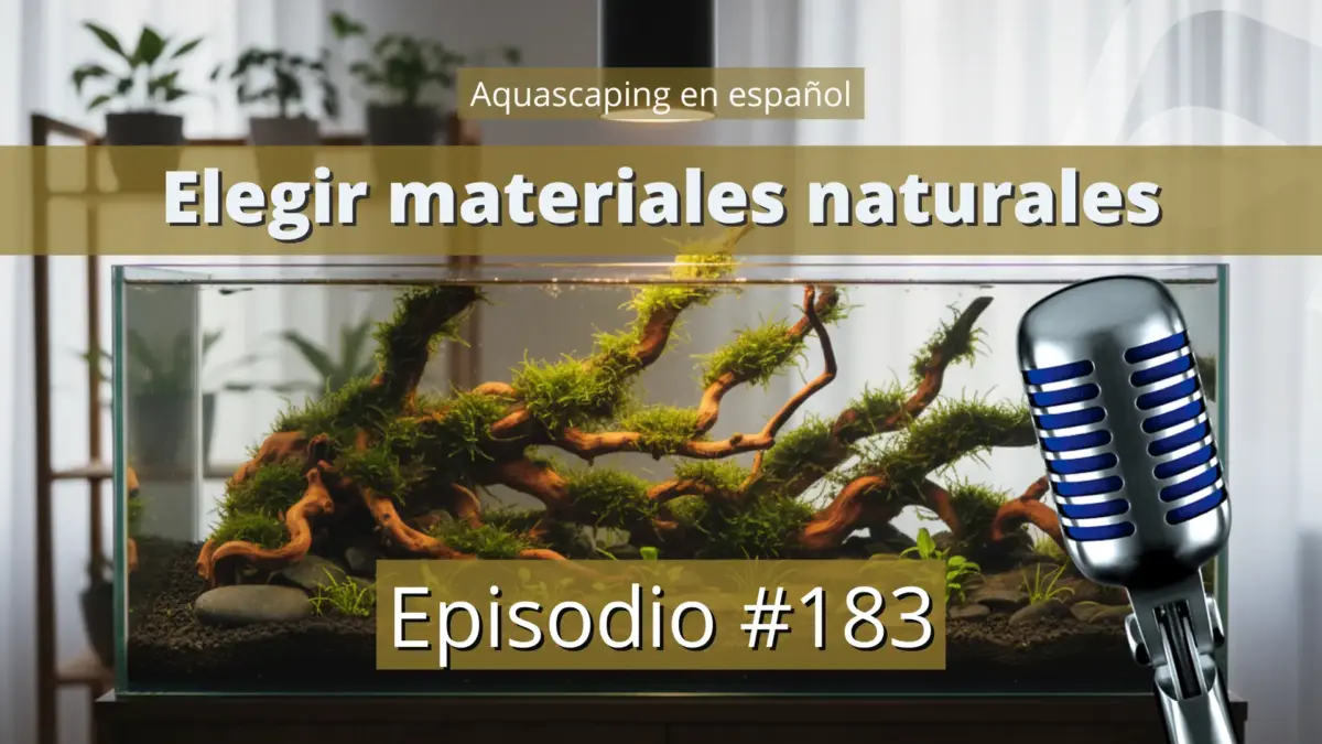 Elegir materiales naturales para el acuario nascapers.es