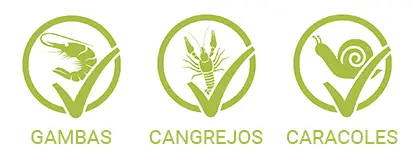 GlasGarten apto para gambas, cangrejos y caracoles nascapers.es