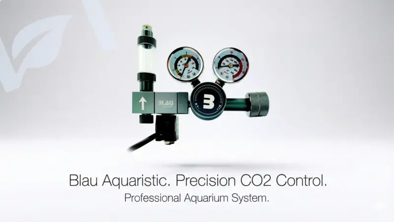 Nuevos reguladores Blau NASCAPERS.ES