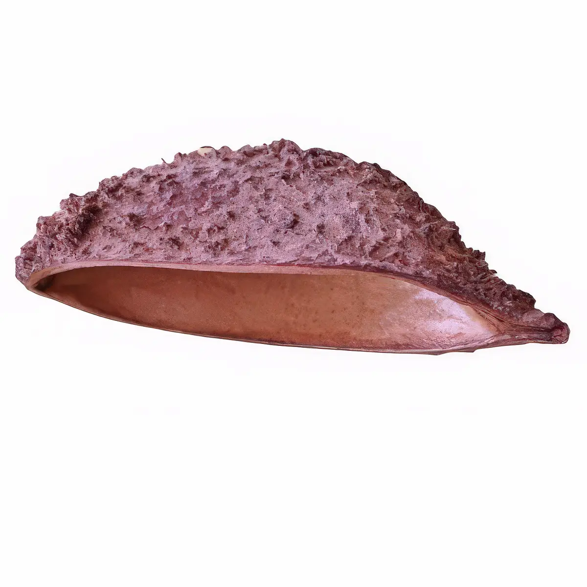 Bolsa de pastor nascapers.es