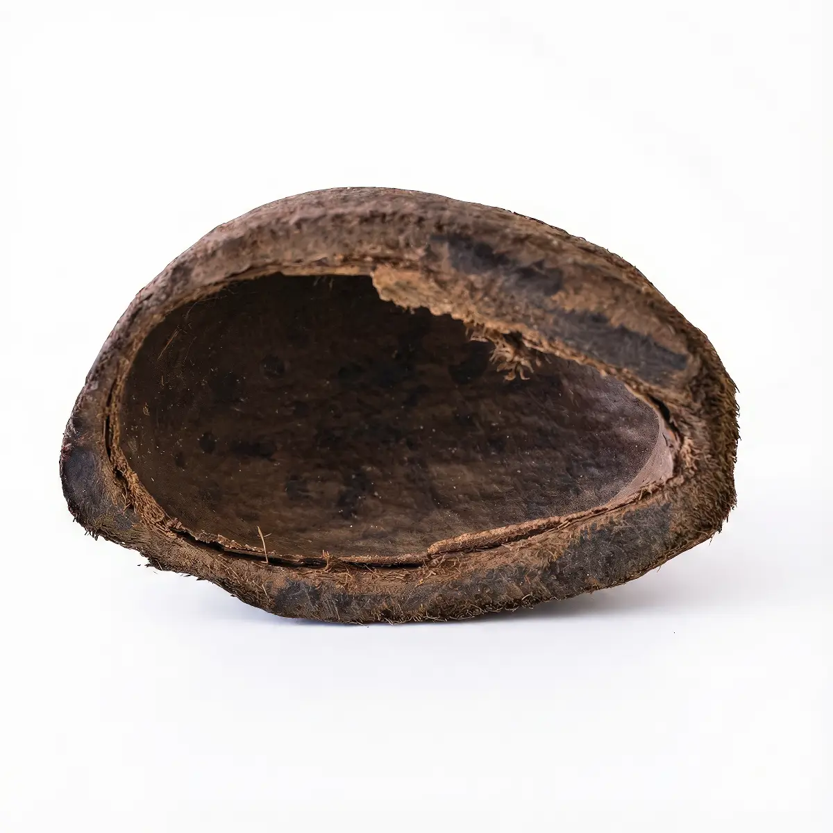 Magrove Pod nascapers.es