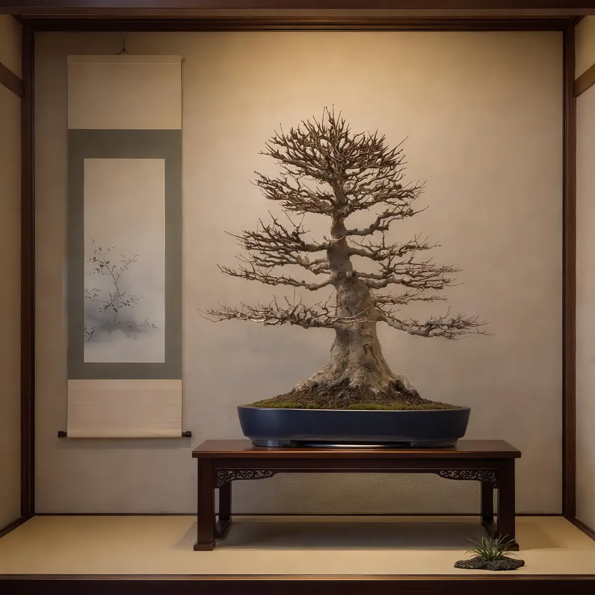 Bonsai Arce Buergerianum Tridente