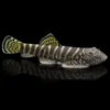 Chupa algas de Borneo | Gastromyzon viriosus nascapers.es