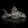 Pleco L236 Cracked Zebra nascapers.es