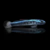 Stiphodon eléctrico azul nascapers.es